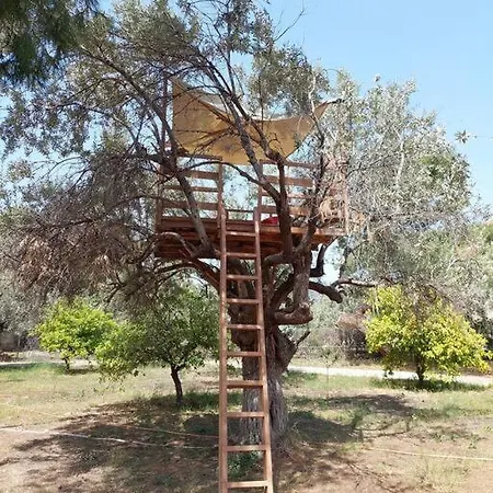 Gesyl House Casa vacanze *