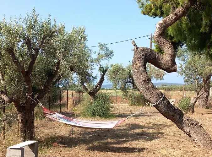 Gesyl House * Kandia