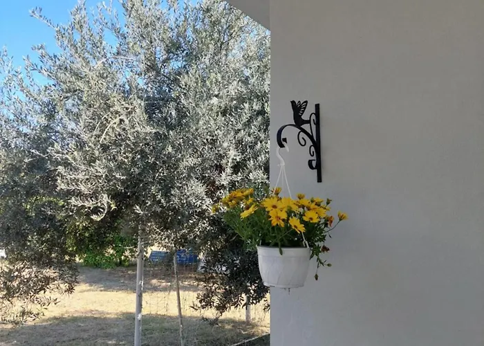 Gesyl House Дом отдыха